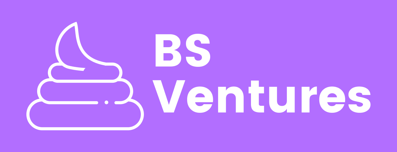 BS Ventures